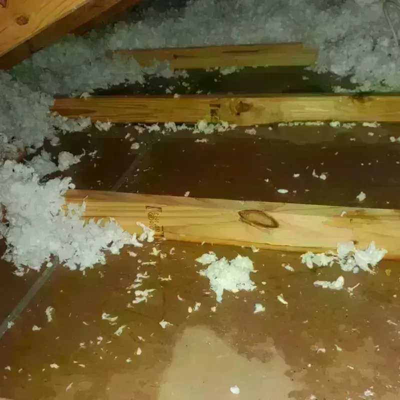 Attic Water Damage in Northborough, MA